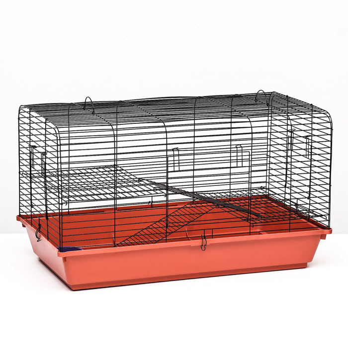 Клетка для грызунов Роджер 2, двухъярусная, 79 х 44 х 45 см, микс - Фото 1