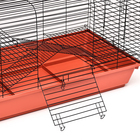 Клетка для грызунов Роджер 2, двухъярусная, 79 х 44 х 45 см, микс - Фото 4