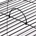 Клетка для грызунов Роджер 2, двухъярусная, 79 х 44 х 45 см, микс - Фото 6