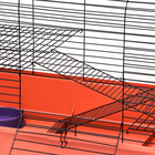 Клетка для грызунов Роджер 2, двухъярусная, 79 х 44 х 45 см, микс - Фото 8