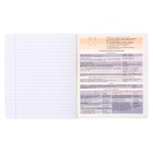 Предметная тетрадь по русскому языку ErichKrause. Timeline, 36 листов, в линейку, со справочным материалом, обложка из мелованного картона - Фото 5