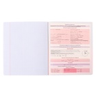 Предметная тетрадь по алгебре ErichKrause. Timeline, 36 листов, в клетку, со справочным материалом, обложка из мелованного картона 10420841