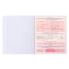 Предметная тетрадь по алгебре ErichKrause. Timeline, 36 листов, в клетку, со справочным материалом, обложка из мелованного картона - Фото 5