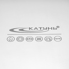 Котел Катунь «Общепит», 35 л, с крышкой, капсульное дно, индукция, нержавеющая сталь, хромированная - Фото 5