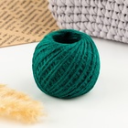 Шпагат для плетения, джут, d = 3 мм, 50 м, цвет зелёный - фото 321420356