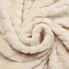 Плед Волна, 200х205см, велсофт 250г/м, полиэстер - фото 24553901