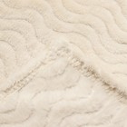 Плед Волна, 200х205см, велсофт 250г/м, полиэстер - фото 24553902