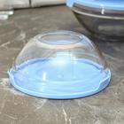 УЦЕНКА Набор стеклянных салатников Доляна «Классика» с крышками, 5 предметов: 900 мл (17×7.6 см), 500 мл (16×6 см), 350 мл (12.5×5.4 см), 200 мл (10.5×4.5 см), 130 мл (9×3.7 см), цвет голубой - Фото 3