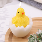 Декоративная свеча "Цыплёнок в яйце" - фото 12200412