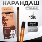Карандаш угольный чёрный 12 В, корпус коричневый - Фото 1