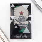 Зарядное устройство «Заряд мужской энергии», 5000мА, мод. PB-01, 10,4 х 6,4 см - Фото 8