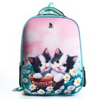 Рюкзак школьный каркасный 39х30х14 см  «1 сентября: Милые котята» - Фото 3
