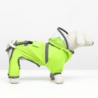 Комбинезон для собак, демисезонный с козырьком, размер S (ДС 28, Ог 41, ОШ 31 см), зелёный - Фото 3