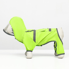 Комбинезон для собак, демисезонный с козырьком, размер S (ДС 28, Ог 41, ОШ 31 см), зелёный - фото 9644154