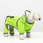 Комбинезон для собак, демисезонный с козырьком, размер М (ДС 32, Ог 45, ОШ 35 см), зелёный - фото 321420870