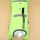 Комбинезон для собак, демисезонный с козырьком, размер XL (ДС 40, Ог 58, ОШ 43 см), зелёный - Фото 5