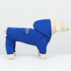 Комбинезон для собак, демисезонный с подкладом, размер ХS (ДС 22, Ог 34 см), синий - Фото 3