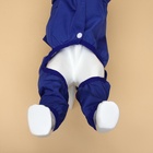 Комбинезон для собак, демисезонный с подкладом, размер S (ДС 25, Ог 37 см), синий - Фото 4