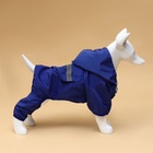 Комбинезон для собак, демисезонный с подкладом, размер М (ДС 27, Ог 42, см), синий - Фото 3