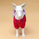 Комбинезон для собак, демисезонный с сумкой, размер XS (ДС 21, Ог 29, ОШ 19 см), розовый - Фото 2