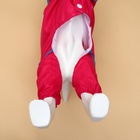 Комбинезон для собак, демисезонный с сумкой, размер S (ДС 25, Ог 33, ОШ 23 см), розовый - Фото 4