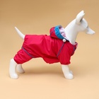 Комбинезон для собак, демисезонный с сумкой, размер 2XL (ДС 41, Ог 53, ОШ 36 см), розовый - Фото 3