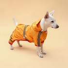 Комбинезон для собак, демисезонный, размер L (ДС 28-30, Ог 43-45, ОШ 31-33 см), жёлтый - Фото 1