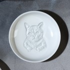 Соусник керамический «Коты», 7.6 х 2 см, цвет белый - фото 6021354