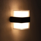 Светильник фасадный «Гранд двойной», 10 Вт, 3000К, IP65, 220 В, металлический корпус, чёрный, свечение тёплое белое - Фото 2