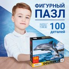 Фигурный пазл «Красивый дельфин», 100 деталей - фото 109766399