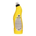 Чистящий гель - концентрант  Master FRESH Лимон, 750 мл - Фото 2