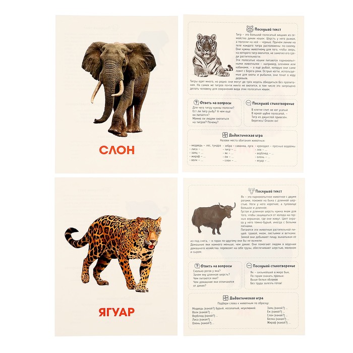 Обучающие карточки "Дикие животные" 467-0-159-12759-8
