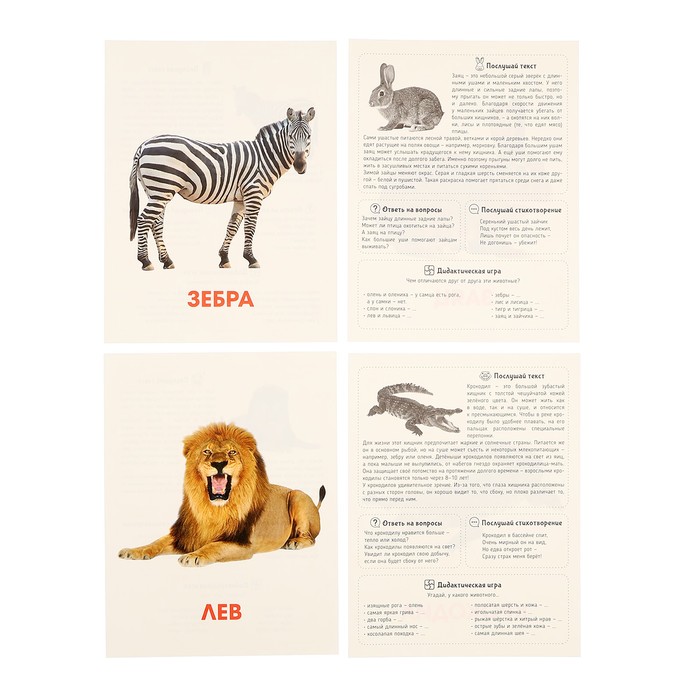 Обучающие карточки "Дикие животные" 467-0-159-12759-8