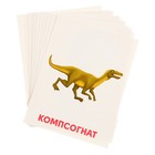 Обучающие карточки «Динозавры» - Фото 4