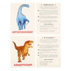 Обучающие карточки «Динозавры» - Фото 5