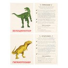 Обучающие карточки «Динозавры» - Фото 7