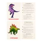Обучающие карточки «Динозавры» - Фото 8