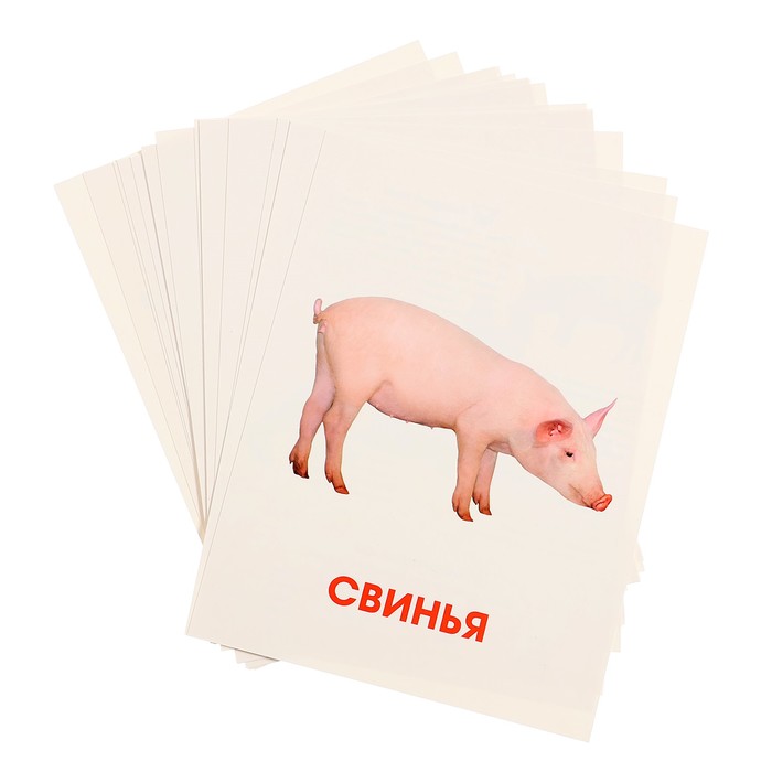 Обучающие карточки "Домашние животные" 467-0-159-12762-8
