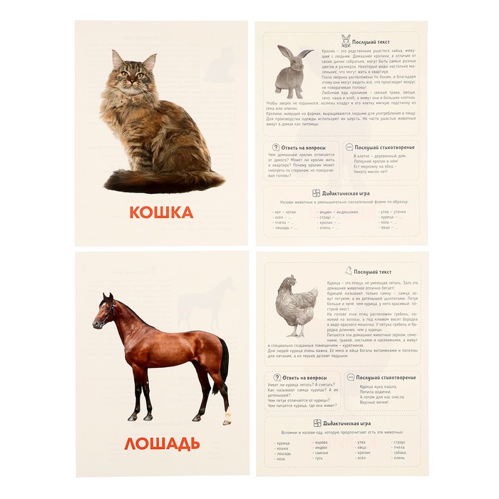 Обучающие карточки "Домашние животные" 467-0-159-12762-8