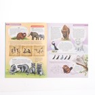 Активити-атлас с наклейками «Животные» - фото 23935227