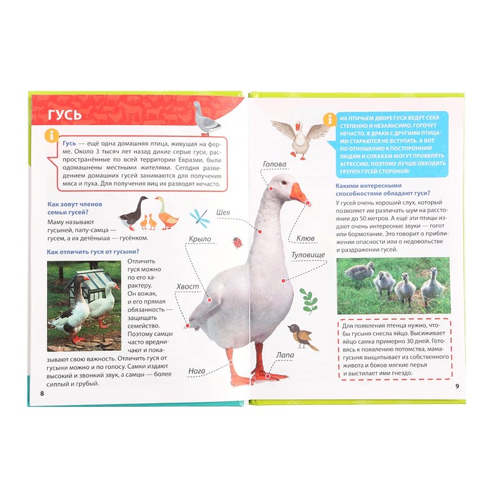 Энциклопедия для маленьких почемучек «Животные фермы»