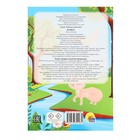 Брошюра с наклейками «В лесу» - фото 23935627