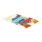 Раскраска с примерами «Озорные питомцы» - фото 24346970