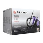 Пылесос BRAYER 4206BR, 2200/400 Вт, сухая уборка, 3 л, фиолетовый 10389302 - фото 13653526