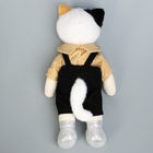 Мягкая игрушка «Мой котик. Девочка Бенни», в коробке, 30 см - Фото 2