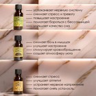 Эфирное масло, набор 12 шт. по 20 мл, крафт «Добропаровъ» - Фото 5