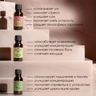 Эфирное масло, набор 12 шт. по 20 мл, крафт «Добропаровъ» - Фото 6