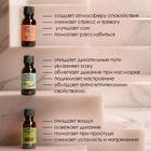 Эфирное масло, набор 12 шт. по 20 мл, крафт «Добропаровъ» - Фото 7