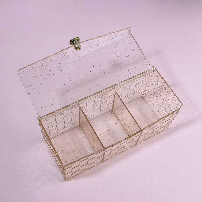 Органайзер для хранения «SHINE», с крышкой, 3 секции, 21,5 × 8,8 × 9,5 см, цвет прозрачный/золотистый