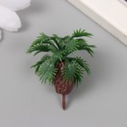 Декор для создания миниатюр (деревья) "Пальма Цикас" 4,5 см - фото 321428999